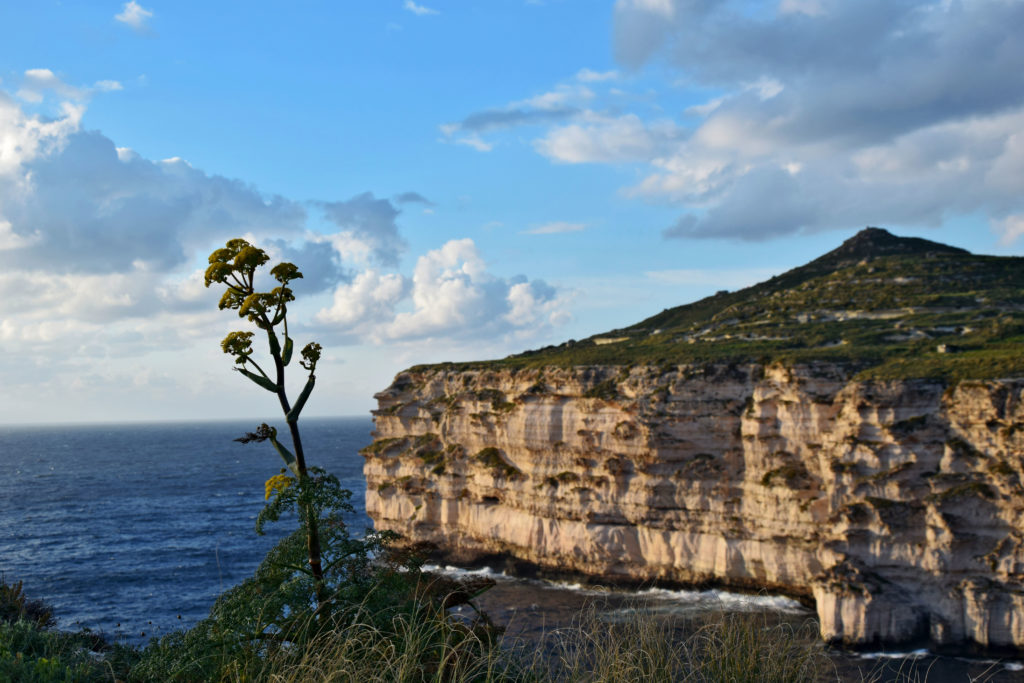 Malta, atrakcje, piękne miejsca. Klify Dingli