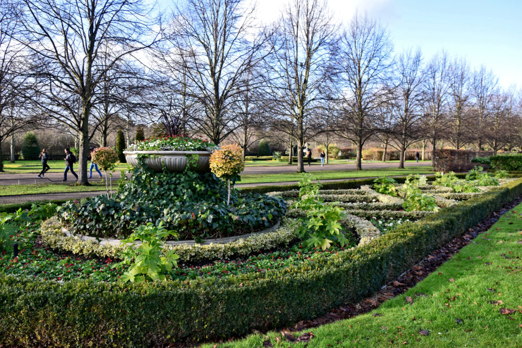 Regent's Park - choć jest środek zimy, starannie przystrzyżony żywopłot i całoroczne rośliny wyglądają kwitnąco. Codziennie nad ich wyglądem pracuje grupa miejskich ogrodników. 