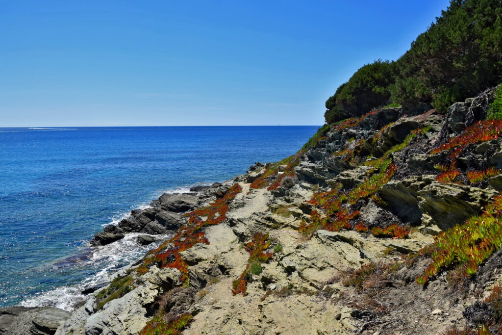 Korsyka, Cap Corse, szlak, trekking
