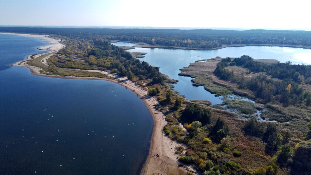 Mewia Łacha - ujście Wisły do morza Mikoszewo