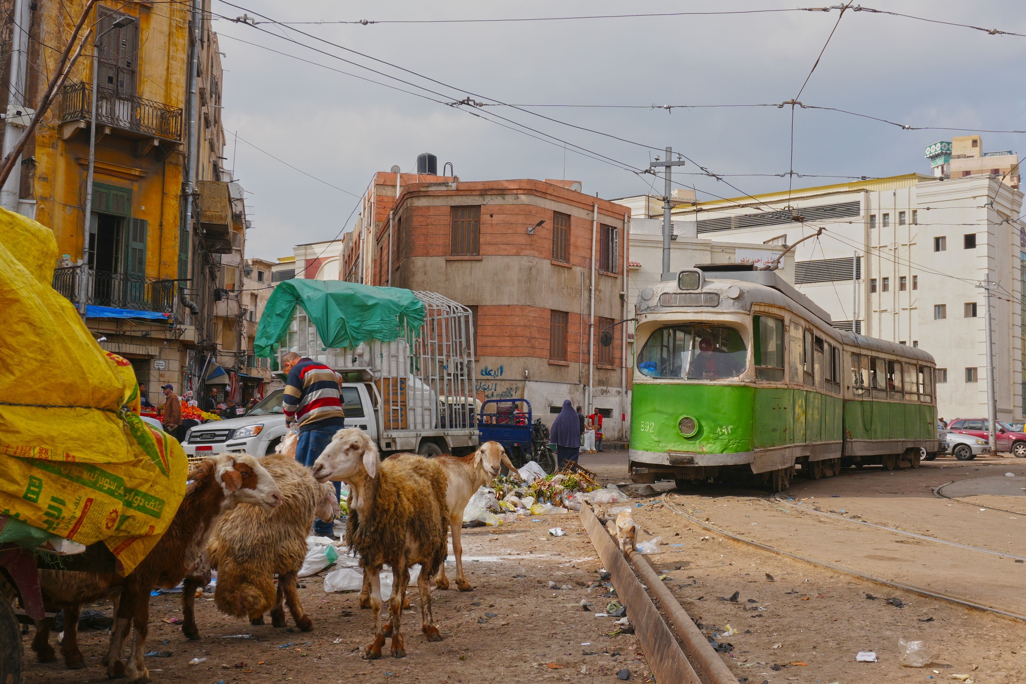 Tramwaje w Egipcie. Jak to możliwe?