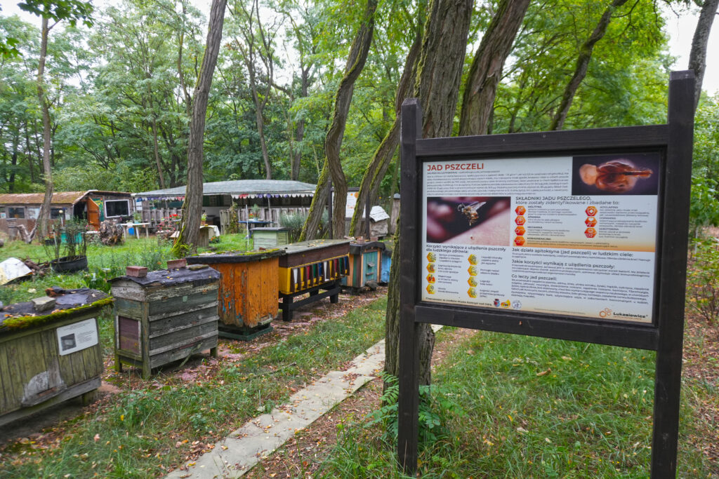 Skansen Pszczelarski Kostrzyn